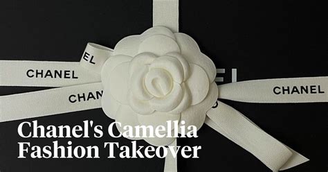 flower in chanel no 5|flowers that make Chanel.